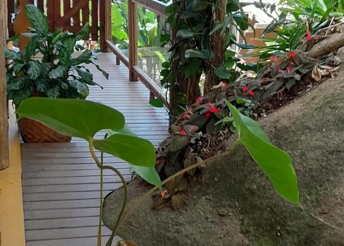 Morena Flor Cabana